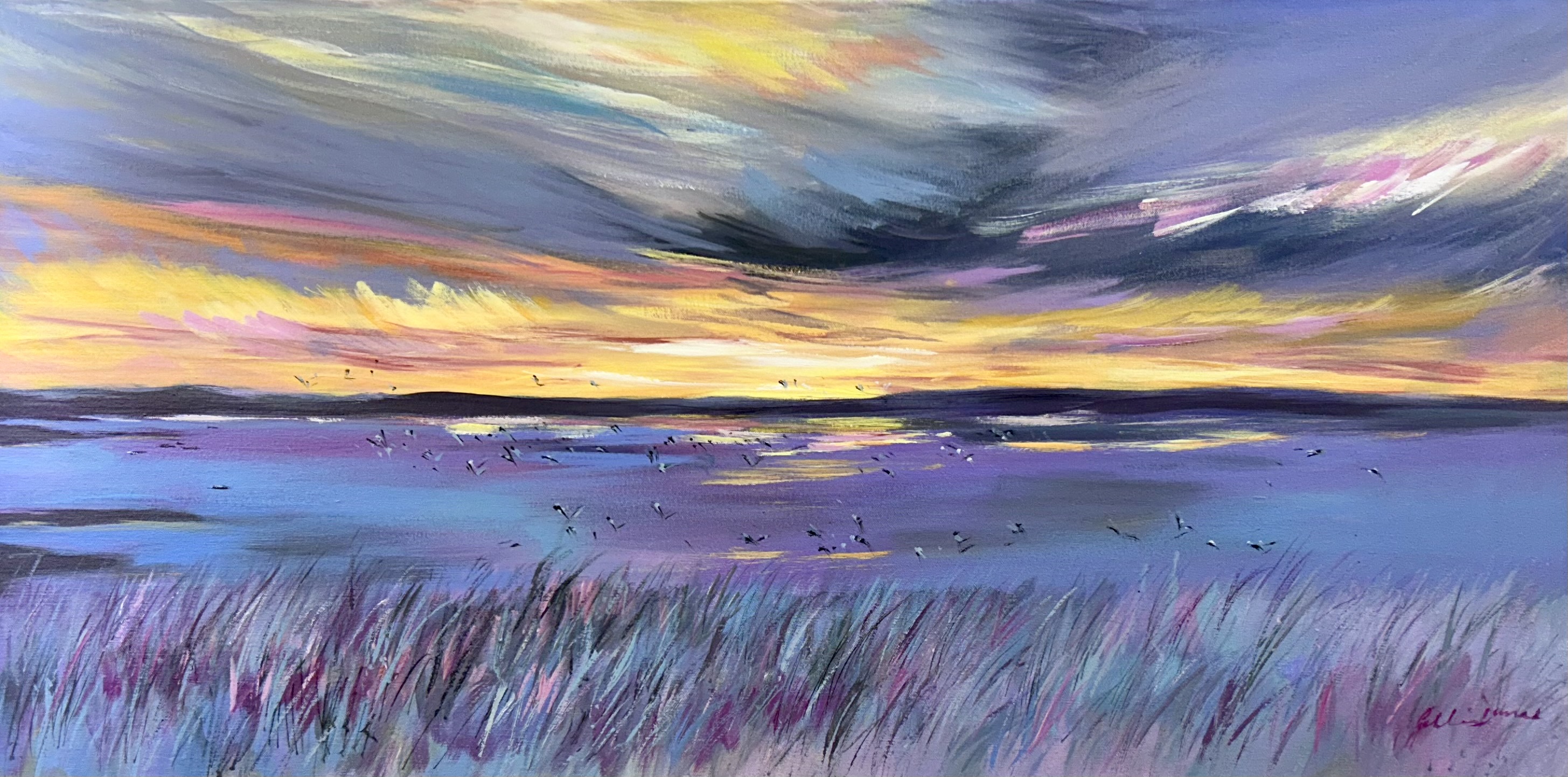 Gillian Durno has refreshed her current exhibition with some landscapes. You are welcome to view the new additions in the gallery or through the link. It is being displayed until the 1st November.